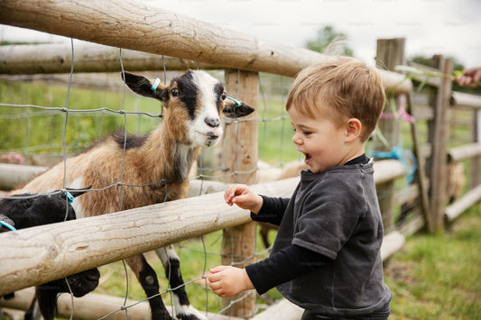 Farm Tour (all ages)